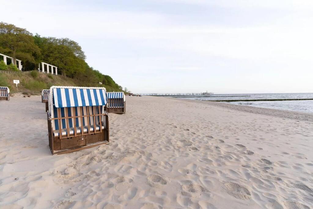 Ferienhaus Koserow, Usedom, 8 Pers., Hunde Erlaubt Exterior foto